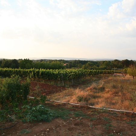 Apartments Paninich Međugorje Εξωτερικό φωτογραφία
